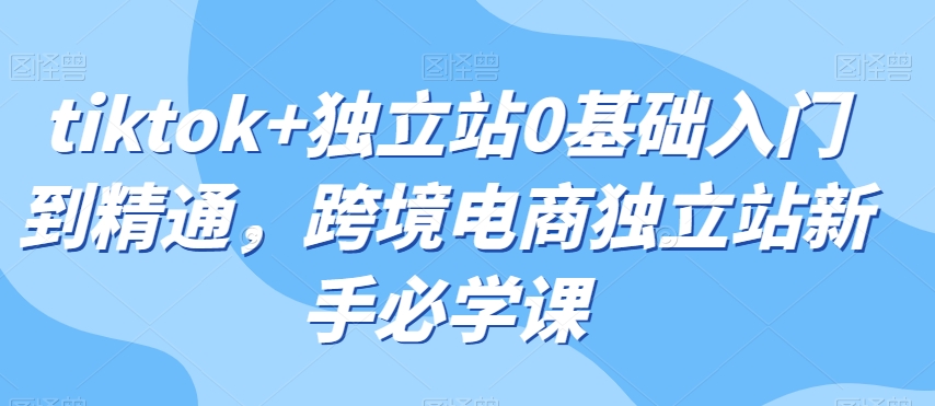 tiktok+独立站0基础入门到精通，跨境电商独立站新手必学课-01知识库
